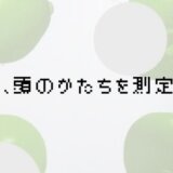 頭のかたちを測定する