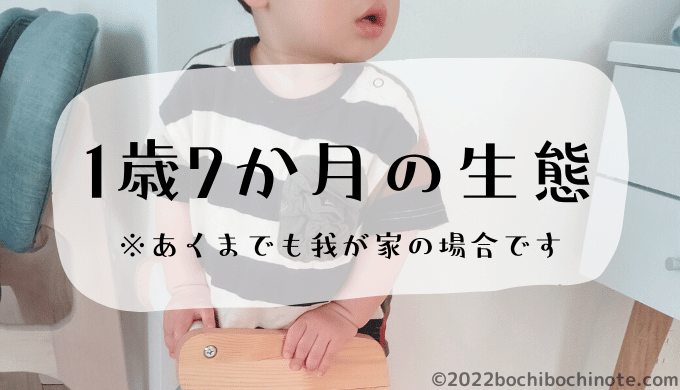 1歳7か月の生態　ぼちぼちのーと