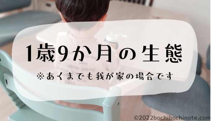 1歳9か月の生態　ぼちぼちのーと