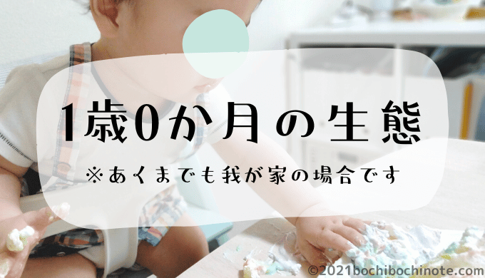 1歳0か月の生態　ぼちぼちのーと