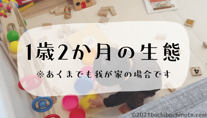 1歳2か月の生態　ぼちぼちのーと