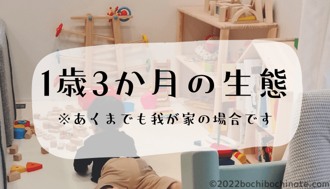 1歳3か月の生態　ぼちぼちのーと