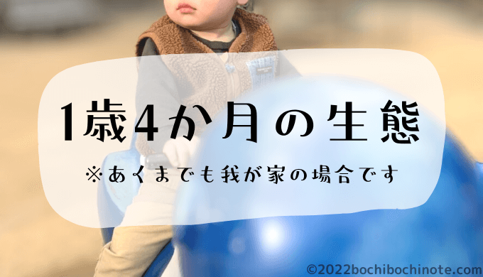 1歳4か月の生態　ぼちぼちのーと