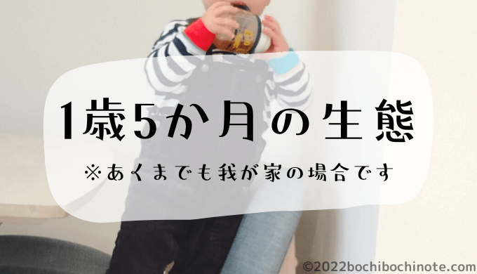 1歳5か月の生態 ぼちぼちのーと