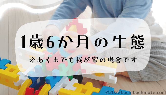 1歳6か月の生態　ぼちぼちのーと