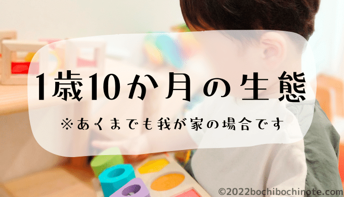 1歳10か月の生態　ぼちぼちのーと